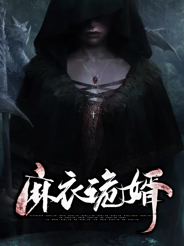 麻衣神婿简介