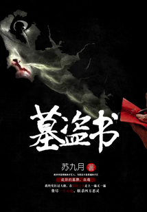 墓盗书 小说