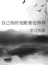 自己捡的宠跪着也得养类似的小说