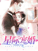 星际宠婚类似小说推荐