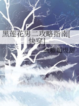 黑莲花男二攻略指南免费
