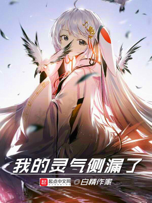 我的灵气空间小说