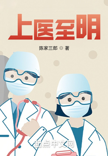 上医至明TXT下载