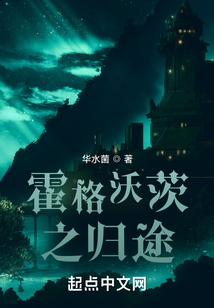 霍格沃茨之归途txt