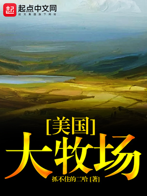 美国大牧场 小说
