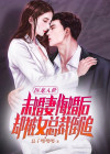 医龙讲的什么