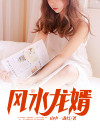 风水龙婿小说