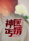 神医丐婿