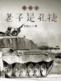 亮剑之老子是孔捷全文免费阅读