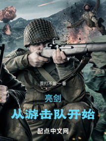 亮剑,从游击队开始 小说 免费