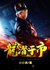 龙潜于市 小说