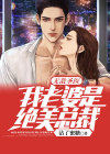 无敌圣医:我老婆是绝美总裁小说