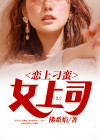 恋上刁蛮女总裁