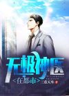 无极神医叶风云陆