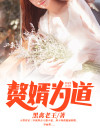 赘婿挡道免费阅读