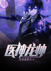 医神龙帅沈十三下载