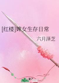 [红楼]婢女生存日常txt百度云