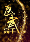 神级医武高手