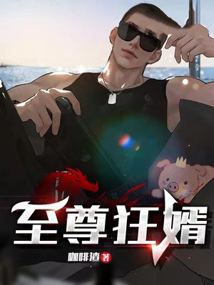 至尊狂婿电视剧