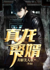 真龙赘婿完整版