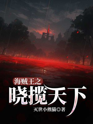 海贼王之晓揽天下