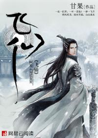飞仙
