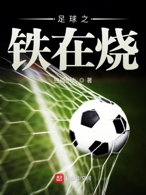 足球之铁在烧123