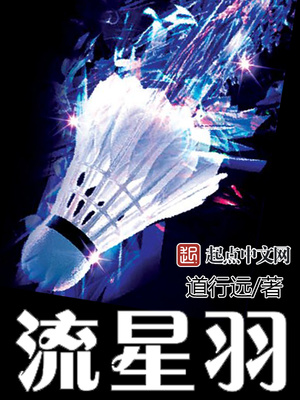 流星羽 小说