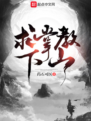 求掌教出关
