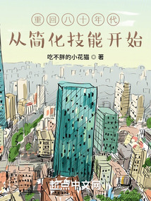 重回八十年代,从简化技能开始无广告小说