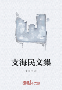 支海民文集