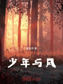 少年与风百度云