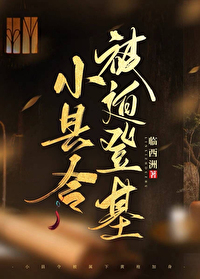 小县令被迫登基(基建)