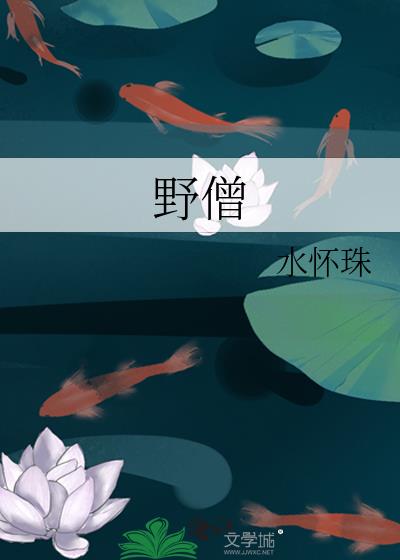 烟雨江湖山遇野僧