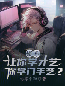 娱乐让你学才艺你学门手艺小说