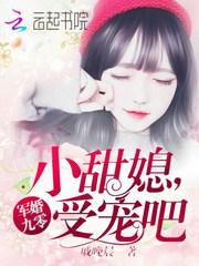 九零军婚甜宠文