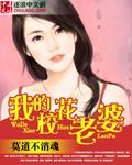我的校花老婆叶子与何晓桦