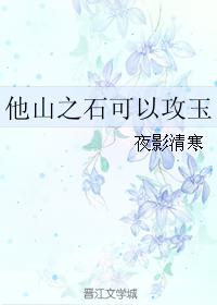 他山之石可以攻玉历史典故