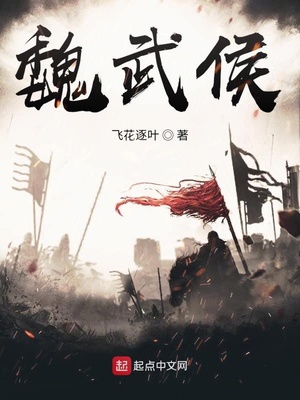 魏武侯简介