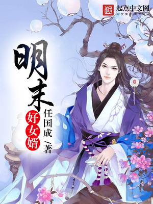 明末好女婿苏木小说免费阅读