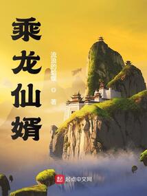 乘龙仙婿笔趣阁