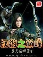 网游之巅峰之战