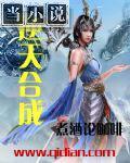 逆天合成 小说
