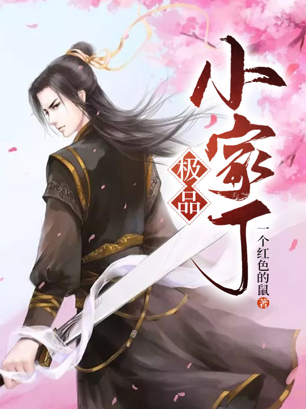 极品小家丁