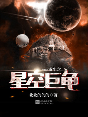 重生之星空巨龟小说下载