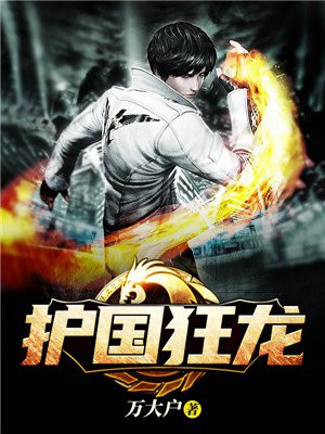 护国狂龙叶无极江婉清
