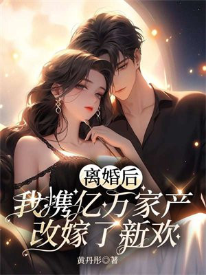 离婚后,我携亿万家产改嫁了新欢 黄丹彤