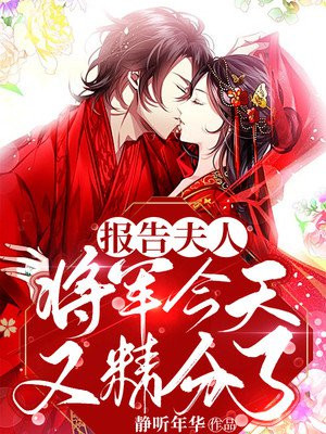 报告将军,夫人今天有点