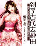 到了古代去种田 小说