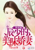 一吻成瘾:辰少的美味娇妻